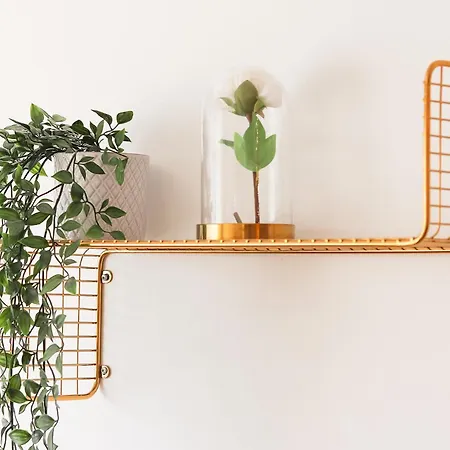 Laranjeiras Design By Homing Apartment Lisbon